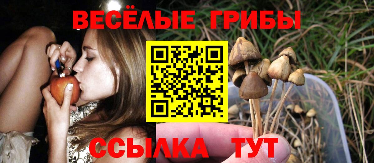 Псилоцибиновые грибы Cubensis  Вход с VPN  Галлюциногенные грибы Psilocybe  Новороссийск 